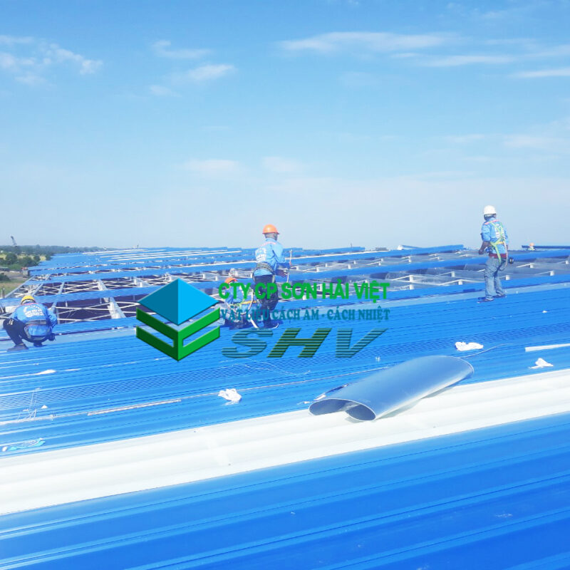 THI CÔNG PHÒNG SẠCH – SƠN HẢI VIỆT